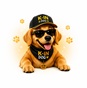 K-IN Shop